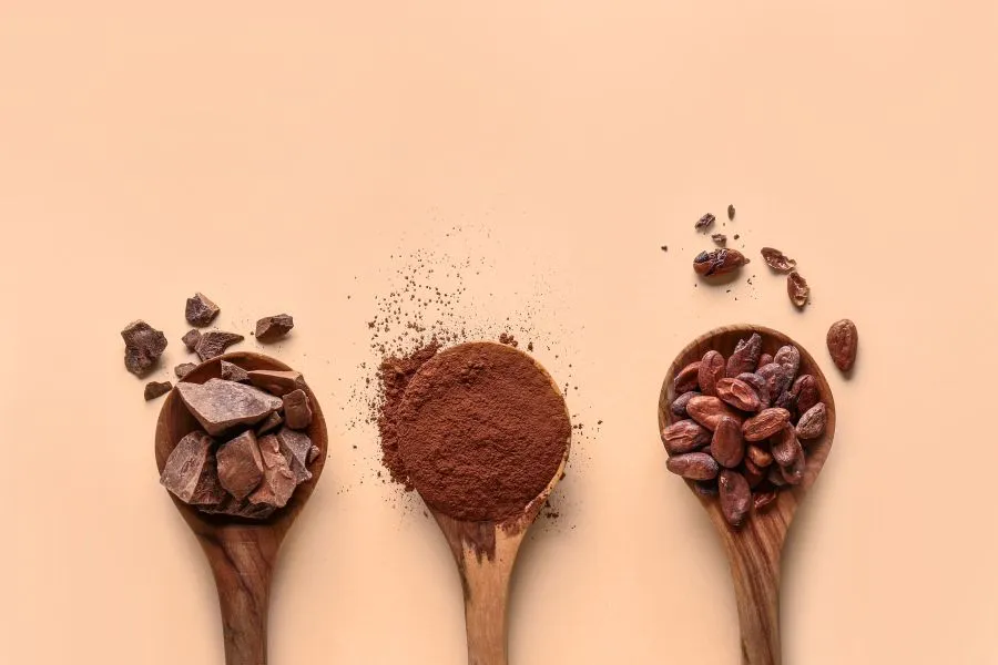 cocoa beans and powder and chocolate on spoons